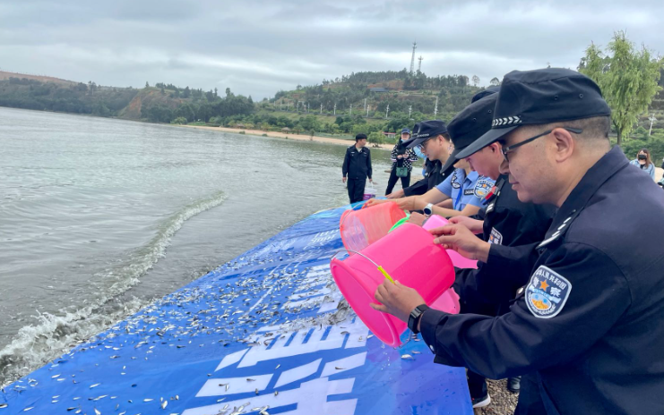 45万尾鱼苗放流滇池