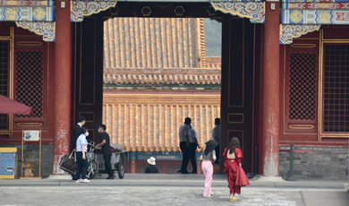 Palace Museum sees more visitors as Beijing's epidemic situation improves