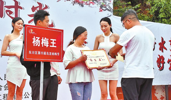 昆明东川举行杨梅节系列活动