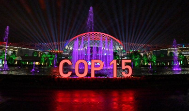 COP15ដំណាក់កាលទី២នឹងរៀបចំនៅទីក្រុងម៉ុងរ៉េអាល់ប្រទេសកាណាដា