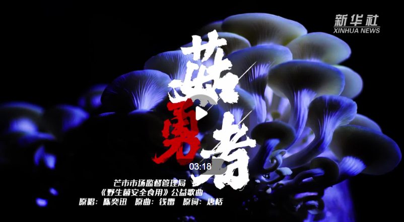 谨防野生菌中毒 云南德宏推出公益歌曲《菇勇者》