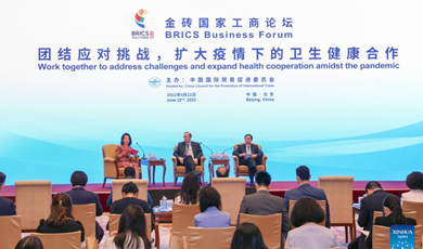 Panel discussions held during BRICS Business Forum in Beijing