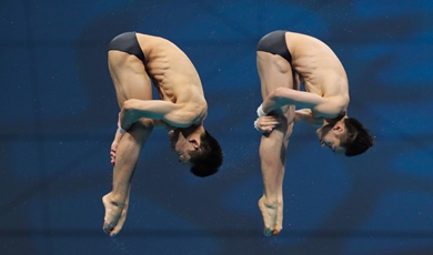 China's Wang wins gold in men's 3m springboard at world championships