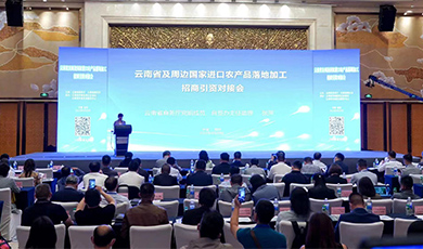 云南省及周边国家进口农产品落地加工招商引资对接会在昆举办