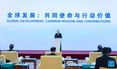 Xi calls for putting development front and center on international agenda