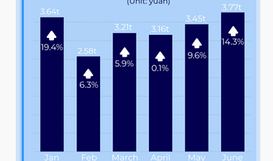 China's foreign trade of goods in H1 keeps momentum