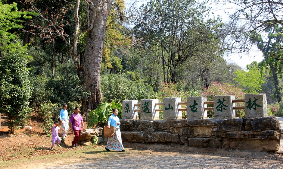 2022 CITM: Laotian Kim sees Pu'er tea as culture-loaded