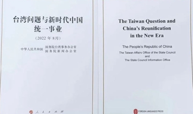 China issues white paper on Taiwan question, envisioning new SAR after reunifica