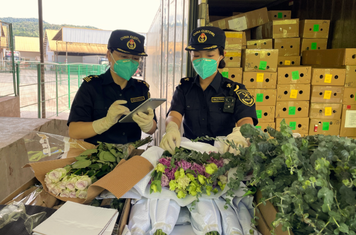 “云花”香飘国际市场