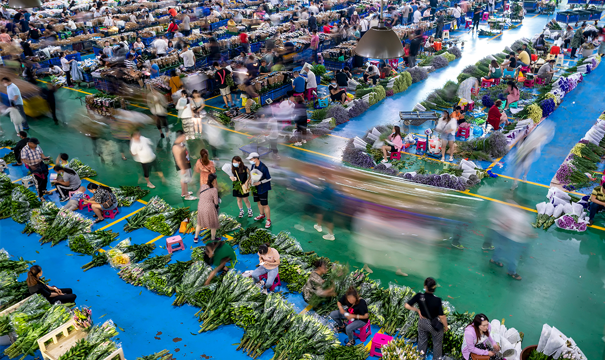 “Kinh tế ban đêm” của chợ hoa Đẩu Nam tại Côn Minh khá thịnh vượng