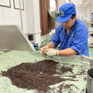 Zhang Yubin: We produce teas with care, fine steps