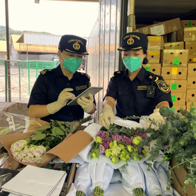 Yunnan facilitates flower exports to Thailand