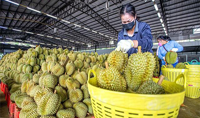 RCEP góp phần tăng tốc hơn nữa hợp tác kinh tế-thương mại Trung Quốc-ASEAN