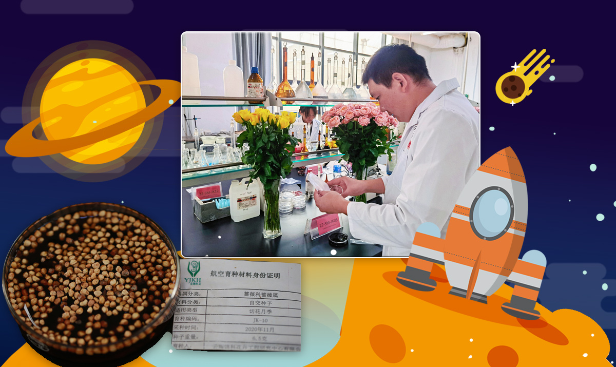 开箱！搭乘“神十二”游太空的云南鲜切花种子回家啦