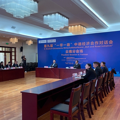 Yunnan joins in Sino-German economic dialogue