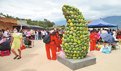 Làng Long Động, Đông Xuyên tổ chức lễ hội thu hoạch xoài vàng