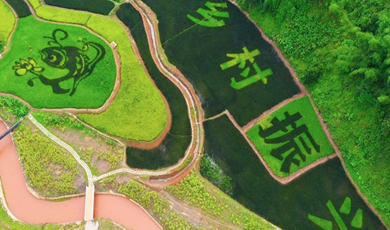 Colorful fields in Zhenkang county