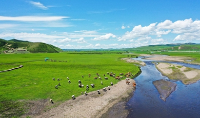 Inner Mongolia flourishing amid integrated ecological efforts