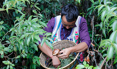 Kinh nghiệm làm giàu của 