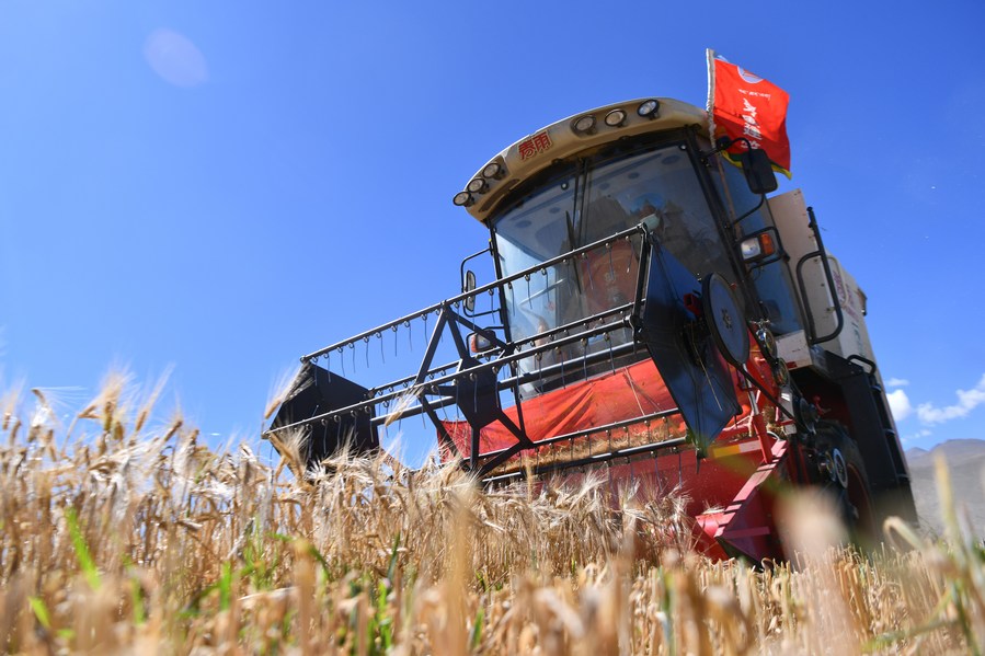 Xi Focus: Leading China's efforts to ensure food security