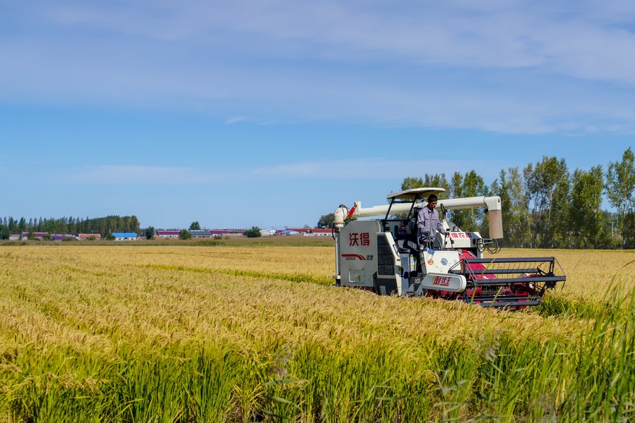 Xi extends greetings ahead of farmers' harvest festival