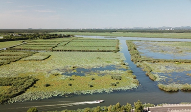  North China's largest freshwater lake reflects conservation benefits