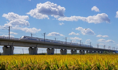 Decade Success: China's agricultural sci-tech progress supports food security