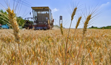 China ‘still seeing good autumn harvest’ despite unprecedented drought in south