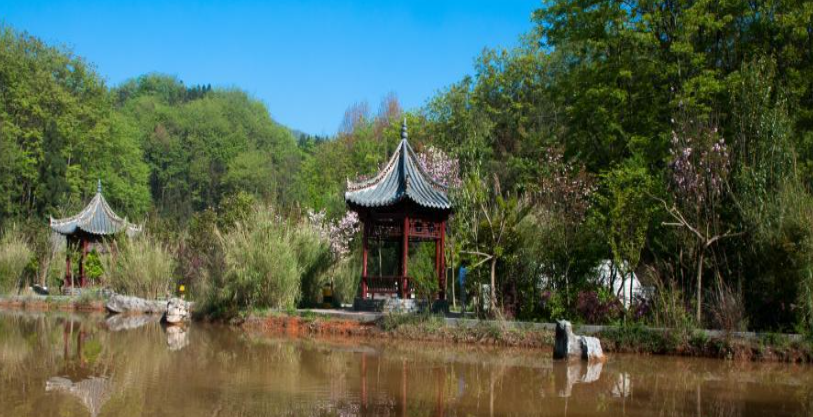 早安云南丨罗平相石阶森林公园：藏身城市里的宁静与诗意