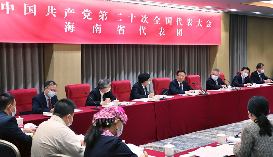 韩正参加党的二十大海南省代表团讨论
