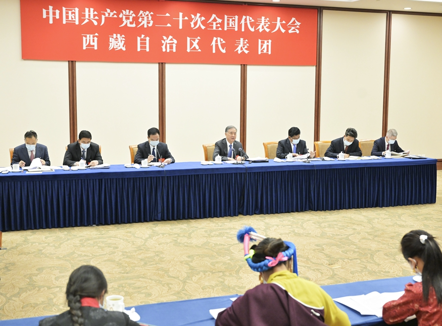 汪洋参加党的二十大西藏代表团讨论