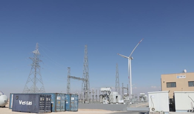 Chinese enterprise helps Jordan in green energy