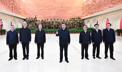 Xi stresses striving in unity to fulfill goals set by Party congress