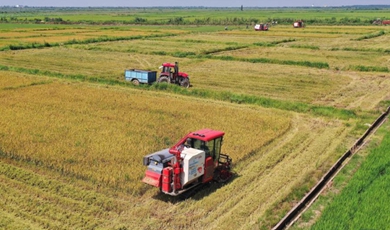 Modernization, mechanization make farmer's life a breeze