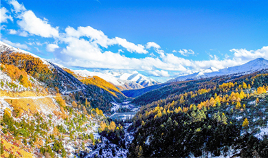 深秋遇初雪 云南白马雪山秋冬美景同框出镜
