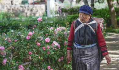 Go Deep in Lijiang: Time of leisure lingers on in Shuhe town