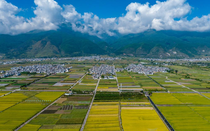 站在人与自然和谐共生的高度谋划发展——国际社会高度评价中国生态文明建设