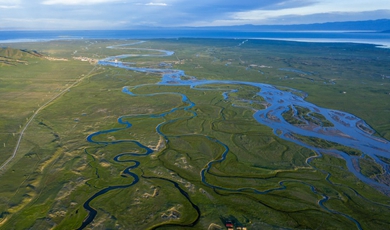 China progressing in wetlands conservation for high-quality development