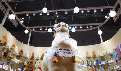CIIE | အယ်လပါကာကောင် (Alpaca) များအား တရုတ်အပြည်ပြည်ဆိုင်ရာသွင်းကုန်ကုန်စည်ပြပွဲတွင် ပြသ