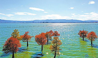 Hồ Tinh Vân tại Ngọc Khê đổi màu rực rỡ