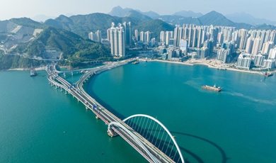 Hong Kong's Tseung Kwan O Cross Bay Bridge opens to traffic