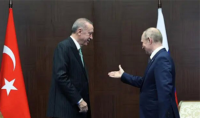 Nhà lãnh đạo Nga và Thổ Nhĩ Kỳ điệm đàm trao đổi về vấn đề hành lang lương thực và đầu mối khí đốt