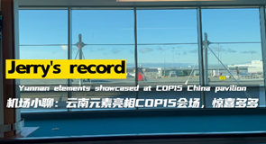 Jerry's record: Yunnan elements showcased at COP15 China pavilion