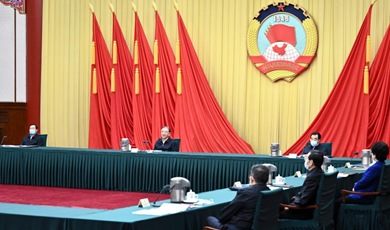 Top political advisor urges preparation for first session of 14th CPPCC National Committee