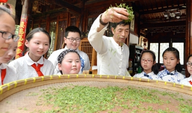 Chinese tea culture flourishes among young generation