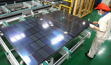 Nation's PV growth, exports chase demand