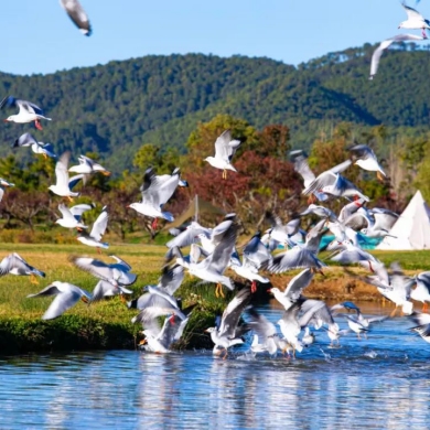 Go Deep in Lijiang: Stunning view of Lashi in winter