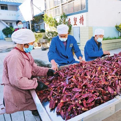 Yunnan creates more jobs for the disabled