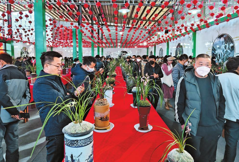 大理首届中国·鹤庆兰花博览会开幕