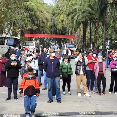 45.14 million trips taken in Yunnan during Spring Festival holiday 